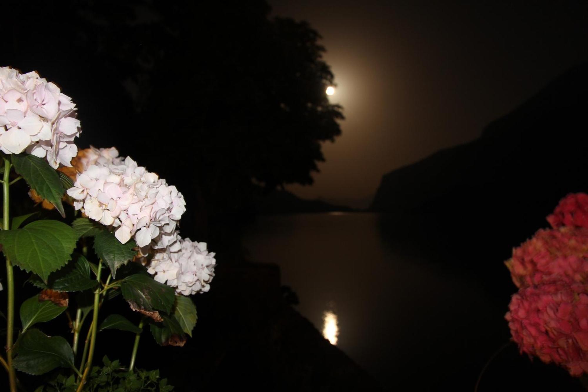 Lago Park Hotel Molveno Dış mekan fotoğraf